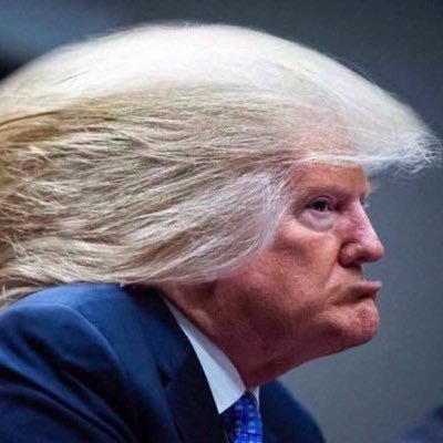 davekarr1111's profile picture. #MAGA #Trump2028