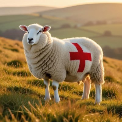 EnglishWoo94376's profile picture. 