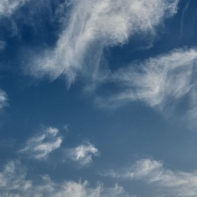 lama_1r's profile picture. بين العاصي والفرات.