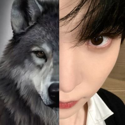 Yunhouou's profile picture. It's Yu ♌️♈️♏️♋️♐️