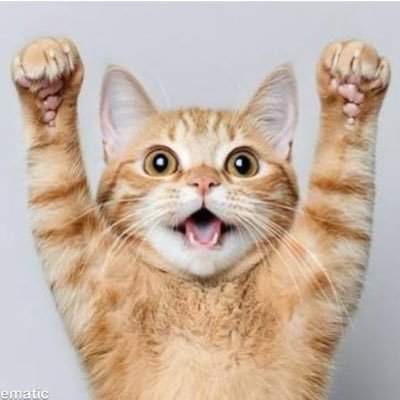 iamnotfrom63rd's profile picture. world at war locked in mogging chud cat retweeter @PilsnerUrquell @Teaam2K #dirtywater #flyeaglesfly