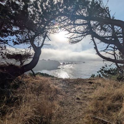 AugustineFacts's profile picture. Alterius non sit qui suus esse potest