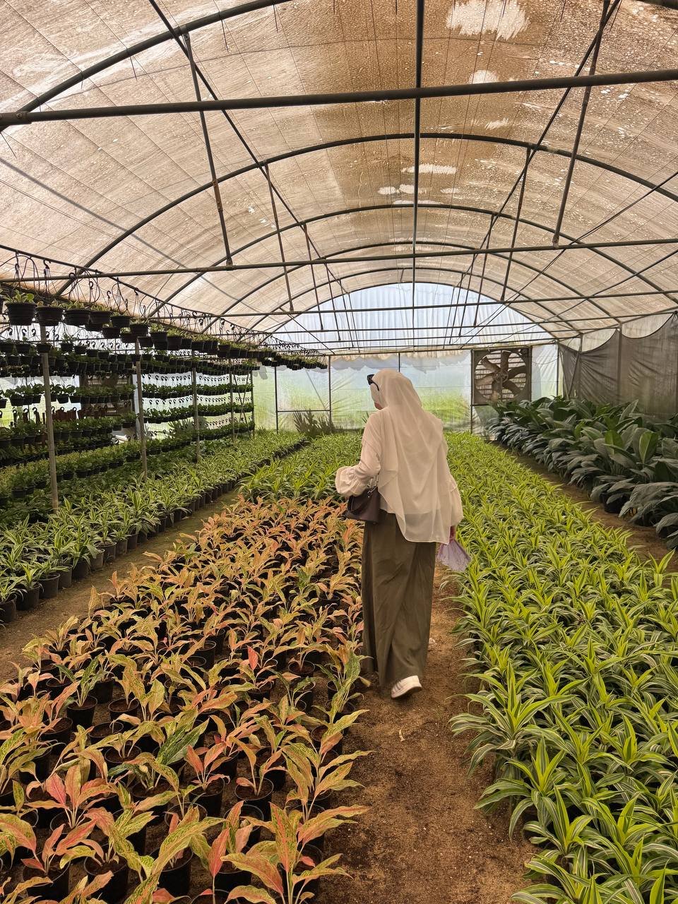 ElhameidSamah's profile picture. لاتغضْ البَصر عن أشيائك الحلوة ، تأملّها.🤍