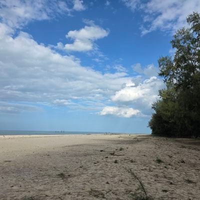 bebedogdog's profile picture. สาเหตุที่ถ่ายท้องฟ้า อาหาร = หน้าเหี้ย