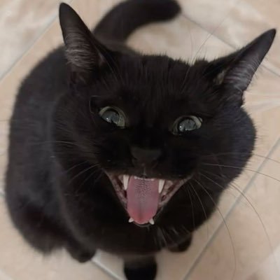 ilomil0's profile picture. normal dude