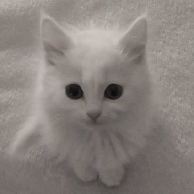 Vereba_'s profile picture. 