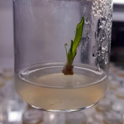 httpskyl1's profile picture. 