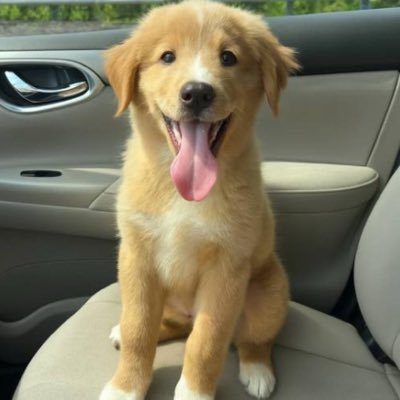 fadedturtwig's profile picture. way of the road bud