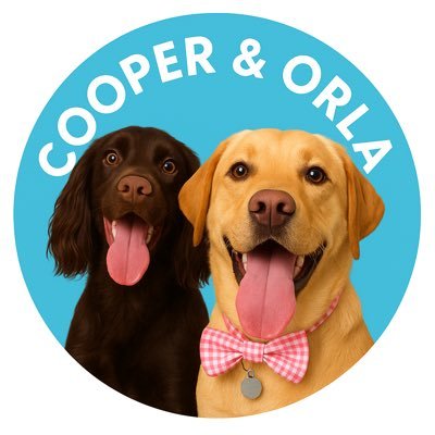 SpanielCooper1's profile picture. We are Cooper Trooper & Orla the Explorer! Follow our adventures with our Mum & Dad 🇬🇧