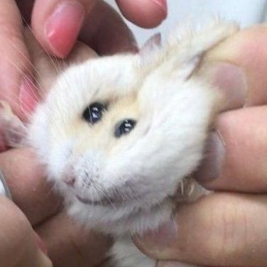 owletlostagain's profile picture. HIII!1!1 i have drawings and things, I also like bugs.

I'vebeen meaning to emerge from the shadows to post,
I lik Madness Combat I'll mostly post stuff abt tha