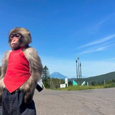 njultra_'s profile picture. 