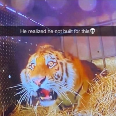 putodohoon's profile picture. bruh