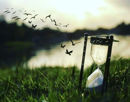 DiyaMcginl90385's profile picture. 