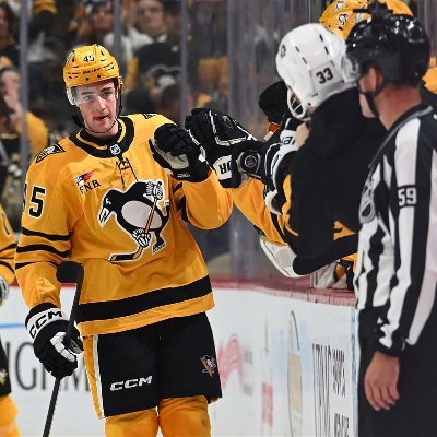 brunickeburgh's profile picture. Just a penguins enthusiast
