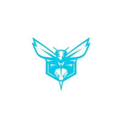 hornets's profile picture. New Era. New Mindset. #HiveMentality