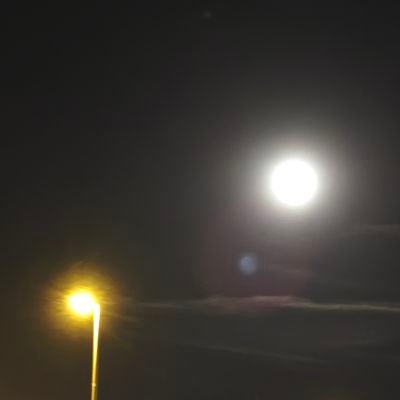 Caospain's profile picture. Al político se le exige, no se le disculpa.
