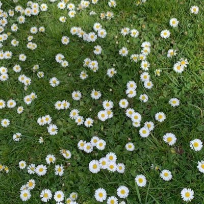 jaoop00's profile picture. 