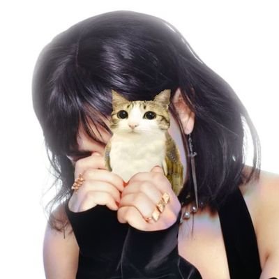 xcxslop's profile picture. Dog balances fucking rice cake on its head #stantwt #musictwt #sealtwt 🇦🇷