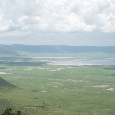 ri_e92's profile picture. 