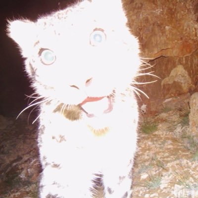 aasadiaa's profile picture. it’s me.