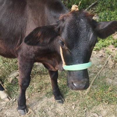 augustepiphany's profile picture. Datte Bio✊