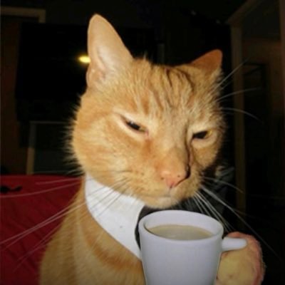 PlayoffDeonte's profile picture. My tweets get 0 likes so I delete them