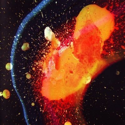 i9elmr's profile picture. lazy genius