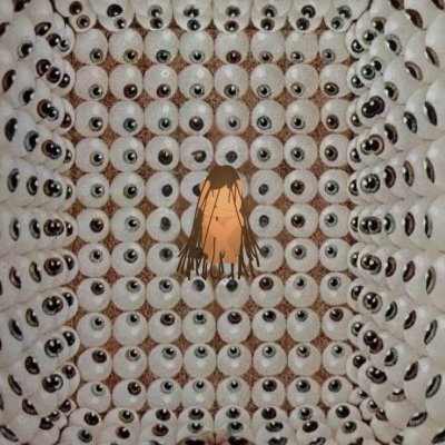 One26243629's profile picture. 