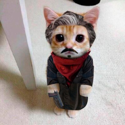 FlaconiDev's profile picture. I like dogs & Breaking Bad. DM for inquiries