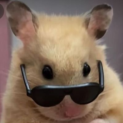 tamaranata6049's profile picture. 