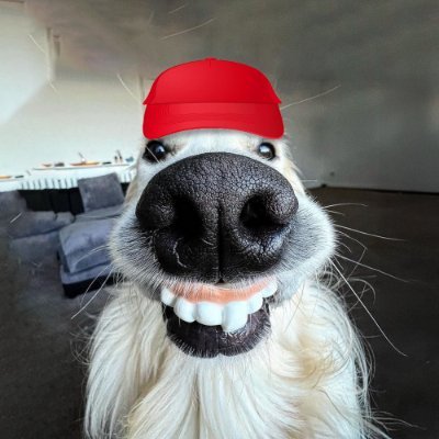 frost100x's profile picture. Solana Degen 🎰 • My Cabal Channel - https://t.co/VlCfWuETVW - DYOR/NFA - Disclaimer: https://t.co/lWq5M9xiTN