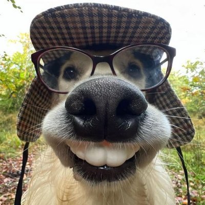 nebcooks's profile picture. Professional memecoin gambler 🎰 | Join my Telegram for daily cooks 🍳🚀
