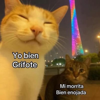 edercastro89's profile picture. 