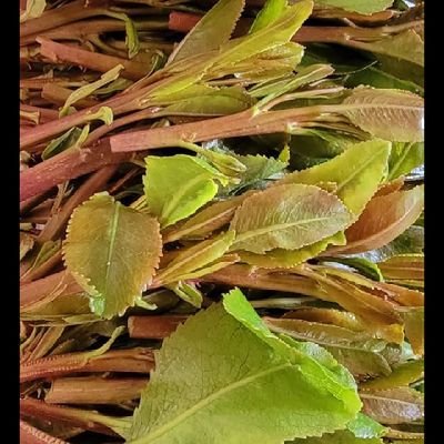 AbwmajdAlh11741's profile picture. حمد لله علا كل شي