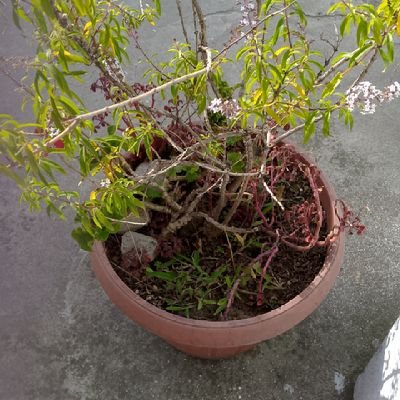 familiasdevida's profile picture. Vive feliz