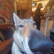 CXNCPT777's profile picture.
