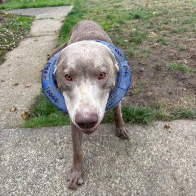 EricLoar's profile picture. 