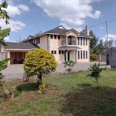 ogendo17696's profile picture. An African activist,HRD, Eng. & realtor