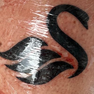 SensibleSwans's profile picture. 