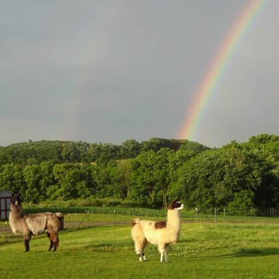 RRmh560's profile picture. 