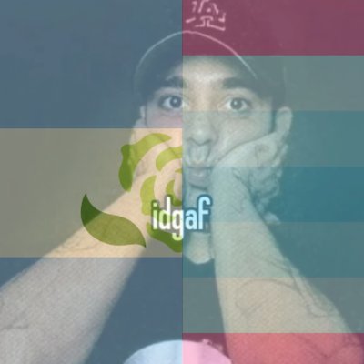 imagesinred_'s profile picture. ♬ transgay loser

♬ OFFICIAL #SOADTWT PROPHET

♬ i mostly post about soad

♬ i like daron malakian!

♬ mark0fchaos on ao3 and disc

♬ moots follow @v_chipped !!