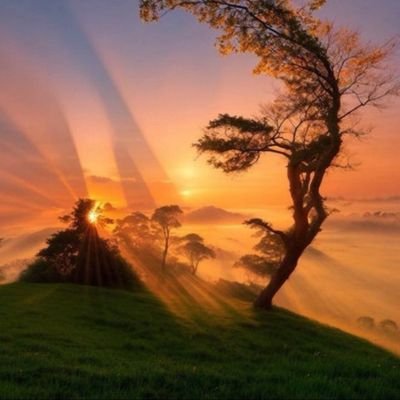 senatla4u's profile picture. Leave life to the fullest. You only have one life