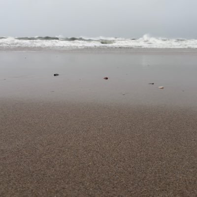 AverageGayBean's profile picture. I do gay shit

19 y/o