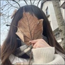 Ynipir5484's profile picture. 