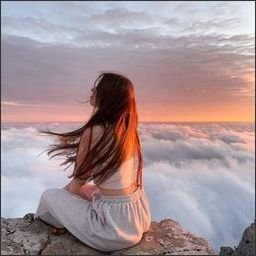 Teaardiet13800's profile picture. 