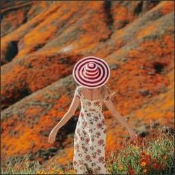 Tlowe9398's profile picture. 