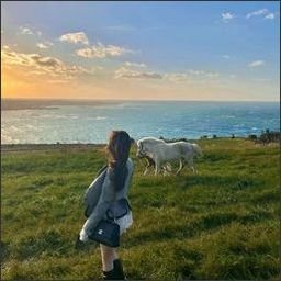 Boualloo237's profile picture. 