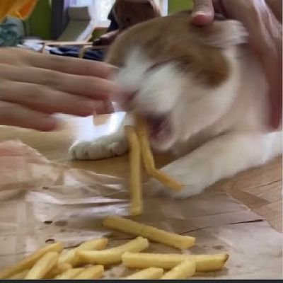 ughhmore's profile picture. 