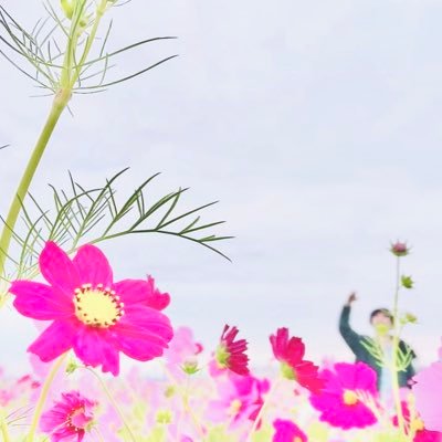 gorounomegane's profile picture. 嫌いな食べ物ありません。