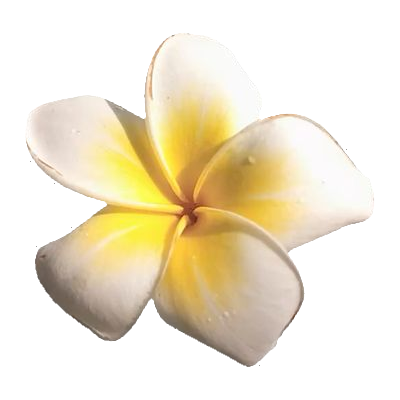 chiikawayumes's profile picture. somos un zq de #yumetwt dedicado a chiikawa
esperamos que la pases bien aquí ᡣ𐭩